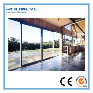 Roomeye Two Rails 2.0mm Thickness Aluminum Sliding Door