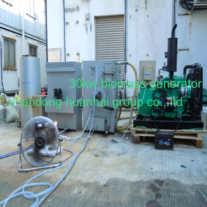 20kw, 50kw, 100kw To2000kw Biomass Gas Generator